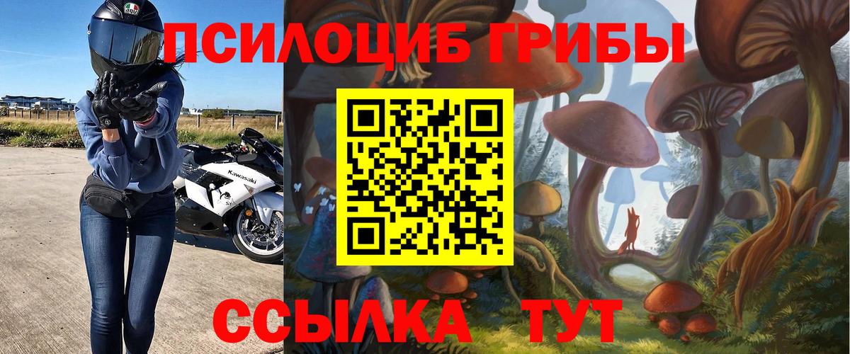 Галлюциногенные грибы Cubensis Одинцово